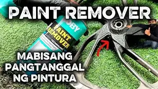 PANGTAGAL NG PINTURA PAINT REMOVER