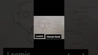 Loomis human head #sketch #drawing #pencilsketch #humanhead