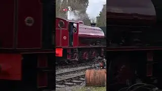 7289 FRED & GWR 1369 at Shackerstone | Battlefield Line Steam Gala | #railway #steam #gala #trains
