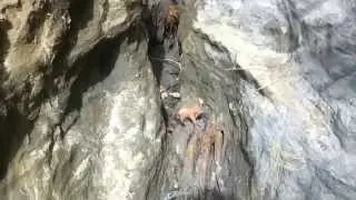 gold mining black sand new zealand