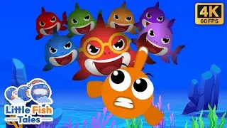 Rainbow Shark 2 | Children's and Kid's Songs | Little Fish Tales | #babyshark