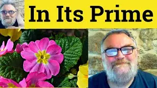 😎 In Your Prime Meaning - At One's Prime Defined - Past Its Prime Examples - Past One's Prime