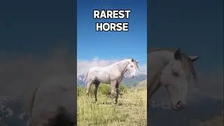 RAREST Horse You Must OWN - RDR 2 #rdr2 #shorts