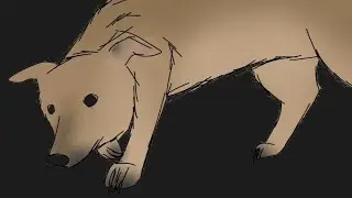 Dog time lapse drawing FlipaClip