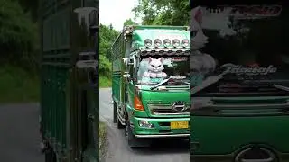 Cat Driver Speeds Up Truck to Beat the Market Deadline! #SpeedyCat #TruckDriverCat #RacingTheClock