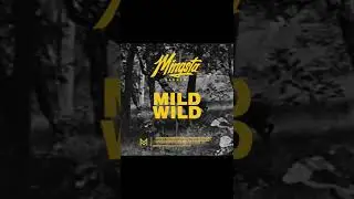Mingsta - Mild Wild