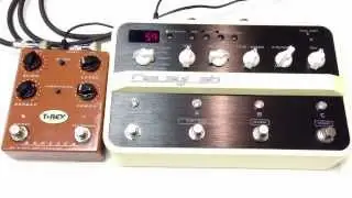 T-Rex Replica vs Vox Delay Lab