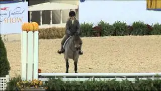 12 ROLLINGWOODS ROXANNE II   Alexandra Rainis   Small Medium Childrens Hunter Pony