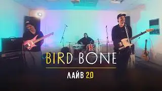 Bird Bone - Полное выступление (2.0 Лайв)