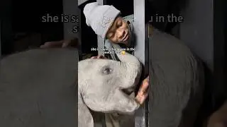 When animals decide to trust humans&hellip;🥹#funny #foryou #fun #funnyvideo #animals #cute #trust