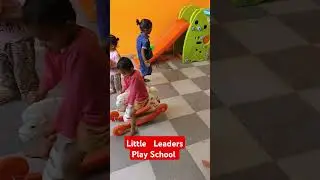 Little Leaders Play School