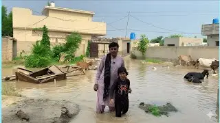 🚨 Pakistan Floods 2025 | Homes Destroyed,  Reality of Flood Disaster 🌊 Selab in pak 