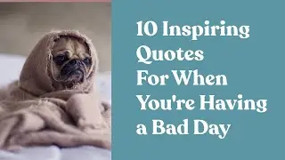 Cure For A Bad Day: 10 Inspiring Quotes For When You're Having A Bad Day