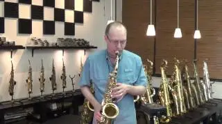 Yani AW010 alto sax brass