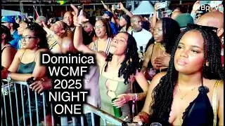 WCMF 2025 (Ночь 1): Всемирный фестиваль креольской музыки &mdash; BrBpTV
