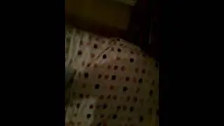 Kedimi video çekmeye çalışan ben