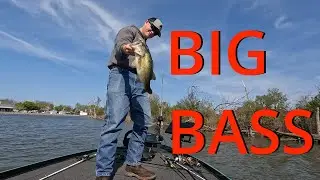 BIG Lake ERIE BASS!!! (west harbor is on fire)