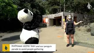 Reopening Edinburgh Zoo