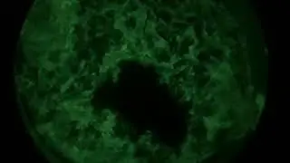 Phoenix Shaving Clown Fruit 2020 - Yes, it glows:)