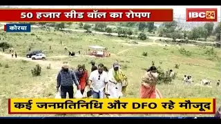 Korba में 50 हजार Seed ball का हुआ रोपण। कई जनप्रतिनिधि और DFO रहे मौजूद