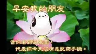 【早安您好】聽說早起的鳥兒有蟲吃！   #降落欢迎