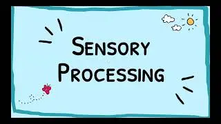Strategies for Success: Sensory Processing & Self Regulation  - Part 2
