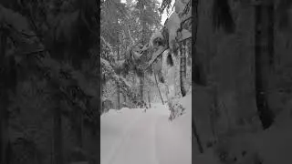jindagi sohni aee #road #trip #youtube #happy #snowfall #road #trip #beautiful #nature