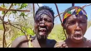 Cultural Significance: Music Beyond  Hadzabe Tribe