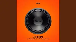 Overdrive Ya Woofah (DJ Mix)
