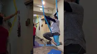 Aerial Yoga beginners workshop | Sea horse pose on aerial Yoga | How to hang Hammock at home