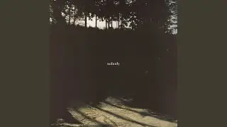 nobody