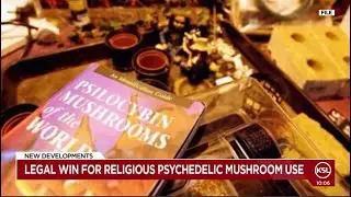 Utah judge denies motion to dismiss lawsuit over religious psychedelic mushroom use