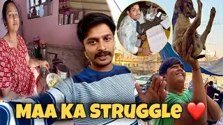 Maa Ka Roz Ka Struggle ❤️ | Puppies, Billu & Full Family Masti 🐶🐱