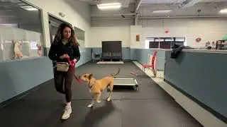 Maple lesson 
