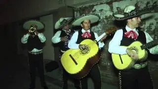 Mariachis en Alicante - Serenata Huasteca