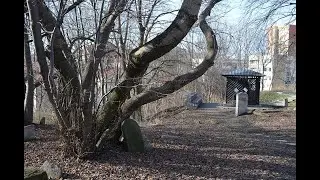 Śladami Przeszłości. Stary cmentarz żydowski. Lublin (lubelskie)