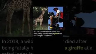 Freak Animal Accident  #horror #horrorstories #animals  #animalattack   #animalattacks #attack