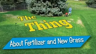 Second Feeding for New KBG Seedlings: Winterguard vs. Starter Fertilizer (Fall Renovation)
