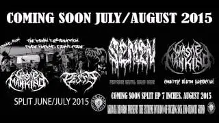 WASTE MANKIND CHAOS TO THE SYSTEM