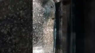 turn Tupperware into mini aquarium for baby cichlids hack