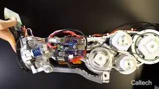 RoAM: Robotic Assisted Mobility