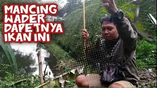 Mancing di spot mancing wader kalikuning Jogja