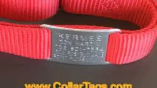 Collar Tags