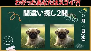 【間違い探し】これがわかったあなたの脳年齢は若い！！サクッと脳を活性化！