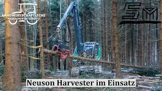 Neuson Harvester bei der Holzernte | Forest | Waldbauern | Dienstleistungen Michlmayr | 4K