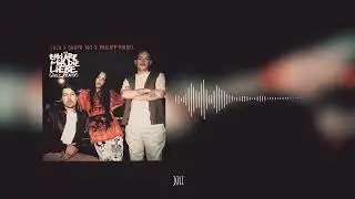 Juju x Chapo102 x Philipp Poisel - Erkl&auml;re mir die Liebe (JŪLĪ Hardtekk Remix)