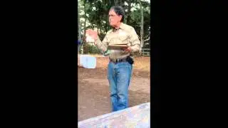 Jack Brook History