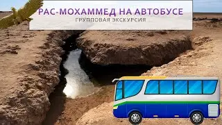 Рас-Мохаммед на автобусе. Групповая экскурсия