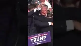 Trump is my GOAT fr though 😂