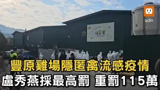 豐原雞場隱匿禽流感疫情 盧秀燕:重罰115萬